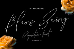 Blanc Seing: A Decorative Signature Font for Modern Editorial Design