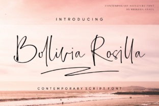 Bollivia Rosilla: The Elegant Script Font for High-Converting Visuals