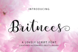 Britnees Script: A Modern Typeface for Boutique Branding