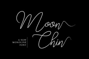 Moon Chin: The Elegant Script Font for High-End Campaigns