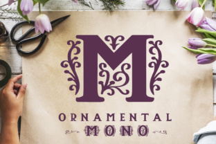 Ornamental Mono: The Decorative Serif for Elegant Craft Projects